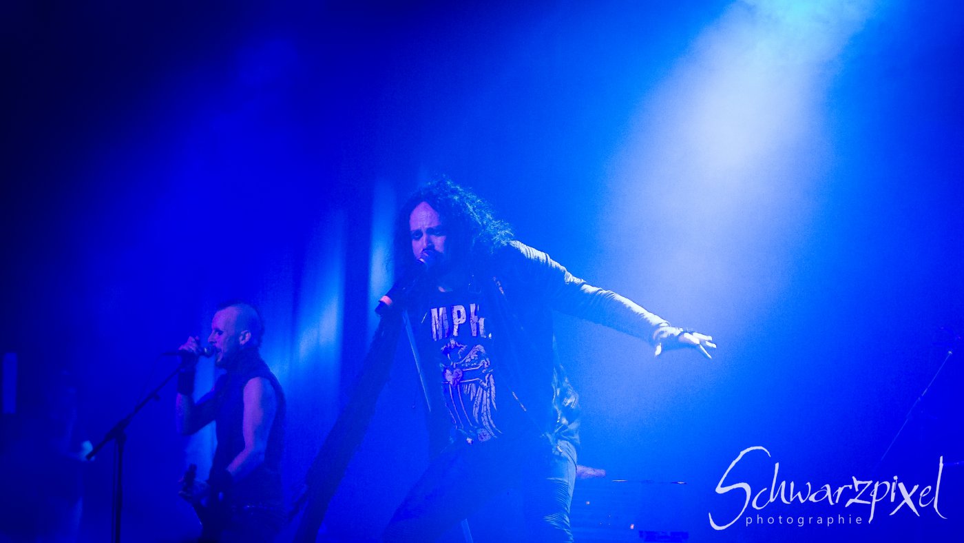 AMPHI FESTIVAL 2019