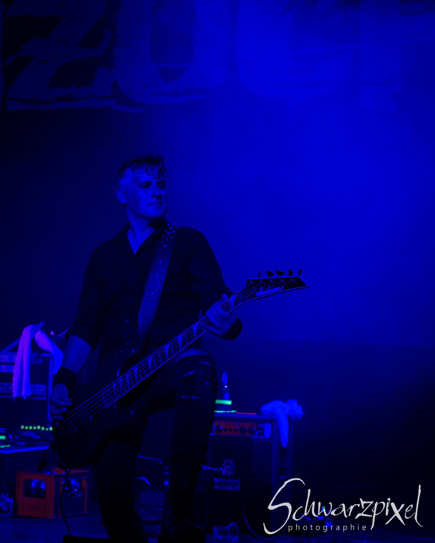 AMPHI FESTIVAL 2019