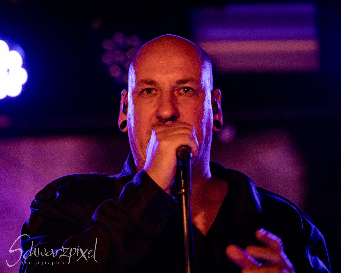 In Darkness Festival 2026