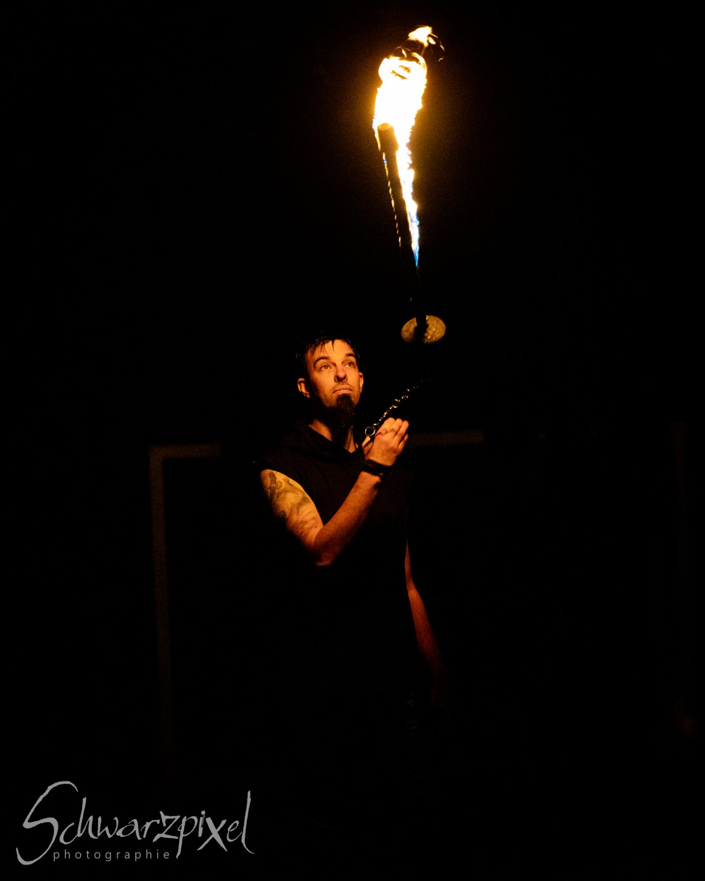 In Darkness Festival 2026