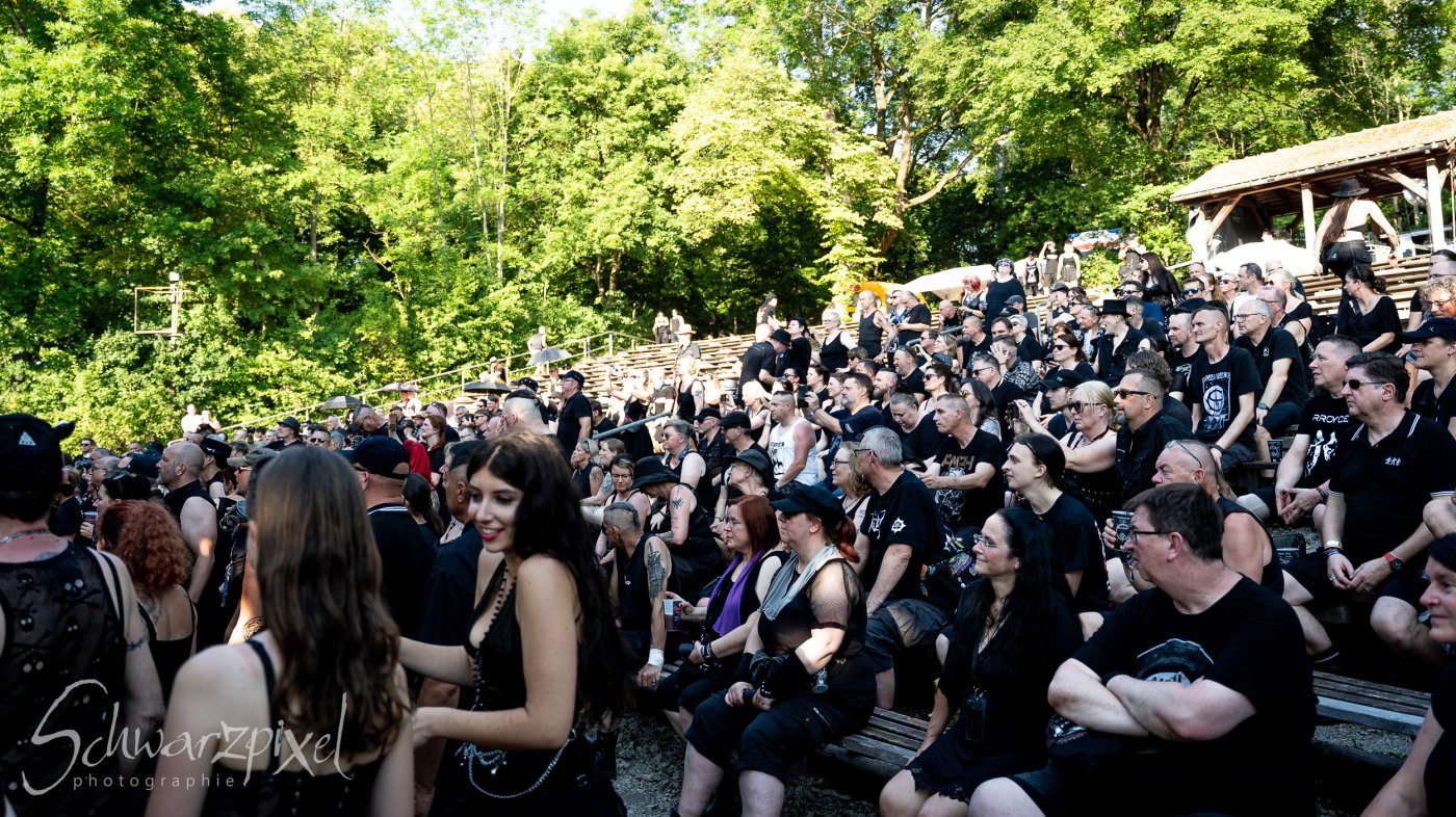 Black Lower Castle Festival 2026