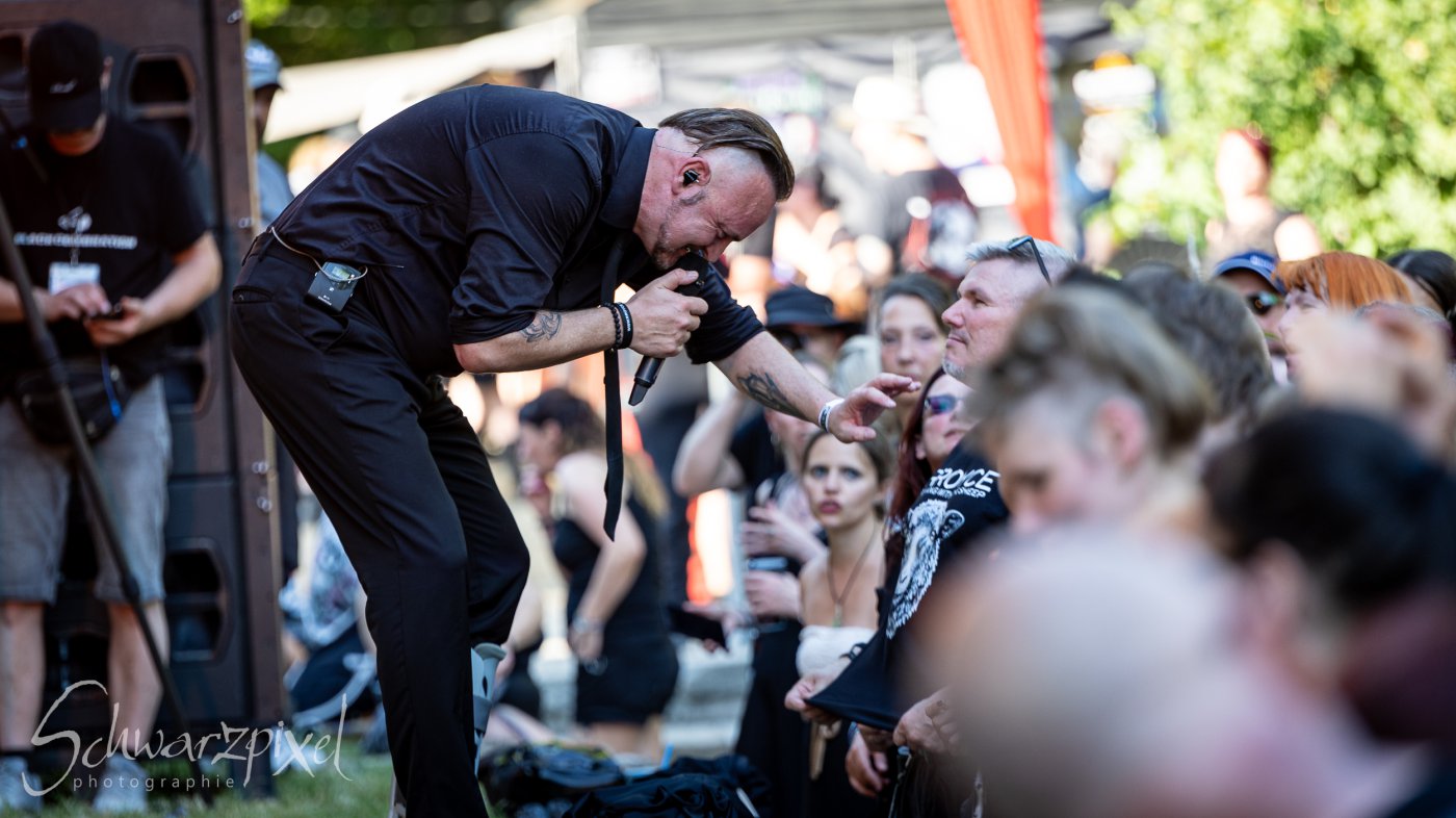Black Lower Castle Festival 2026