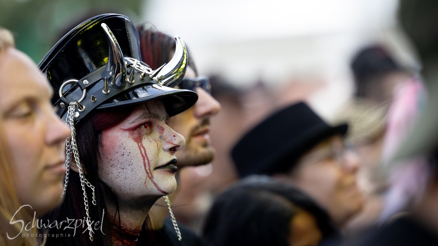 Saltatio Mortis