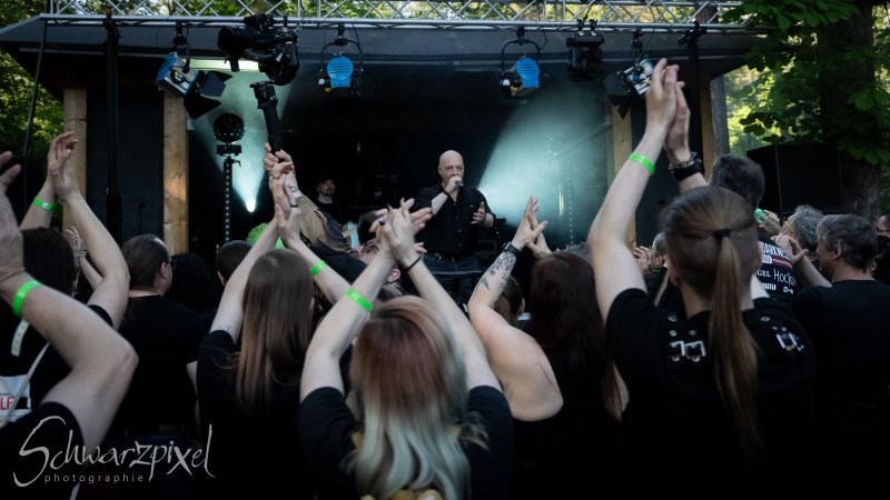 10 Jahre ALIENARE
