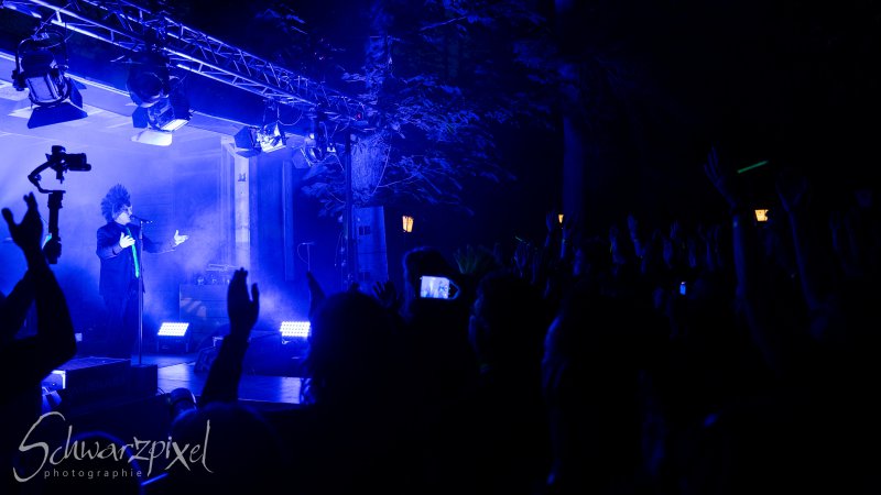 10 Jahre ALIENARE