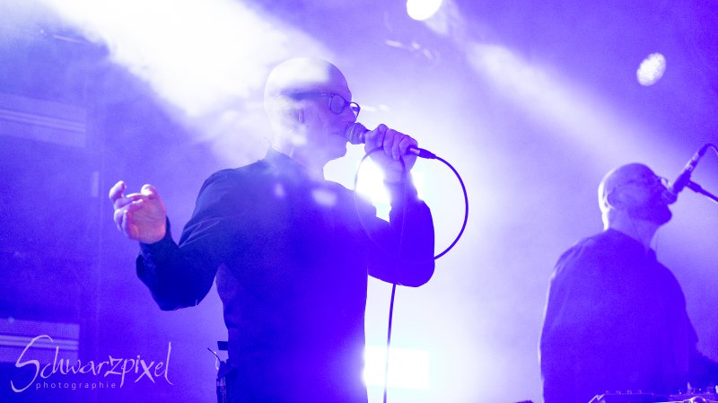 Covenant - Kulttempel 2024