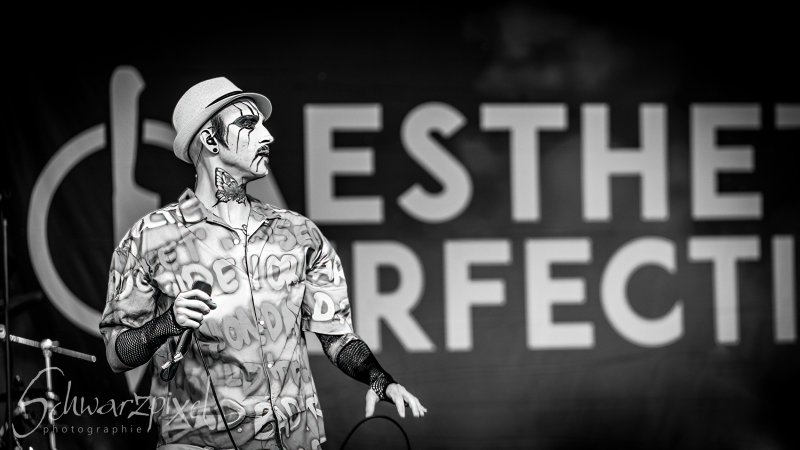 AMPHI FESTIVAL 2022