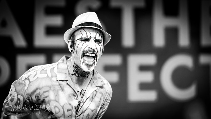 AMPHI FESTIVAL 2022