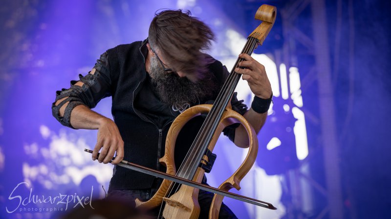 AMPHI FESTIVAL 2022