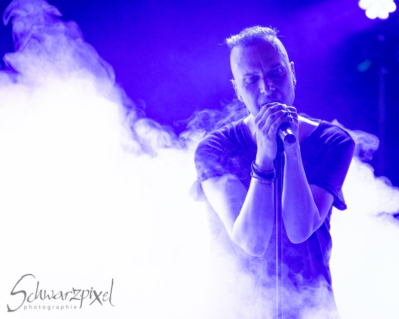 SOLAR FAKE – 1 NIGHT // 2 SHOWS 2021