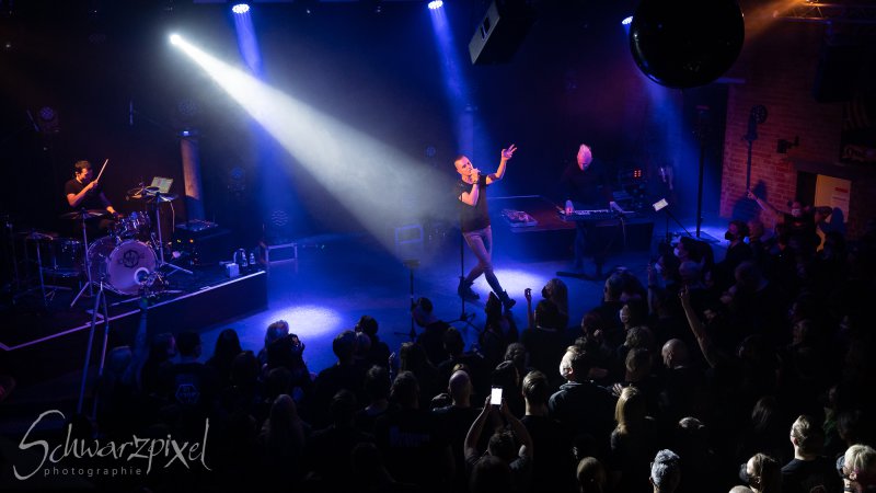 SOLAR FAKE – 1 NIGHT // 2 SHOWS 2021
