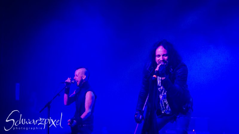 AMPHI FESTIVAL 2019